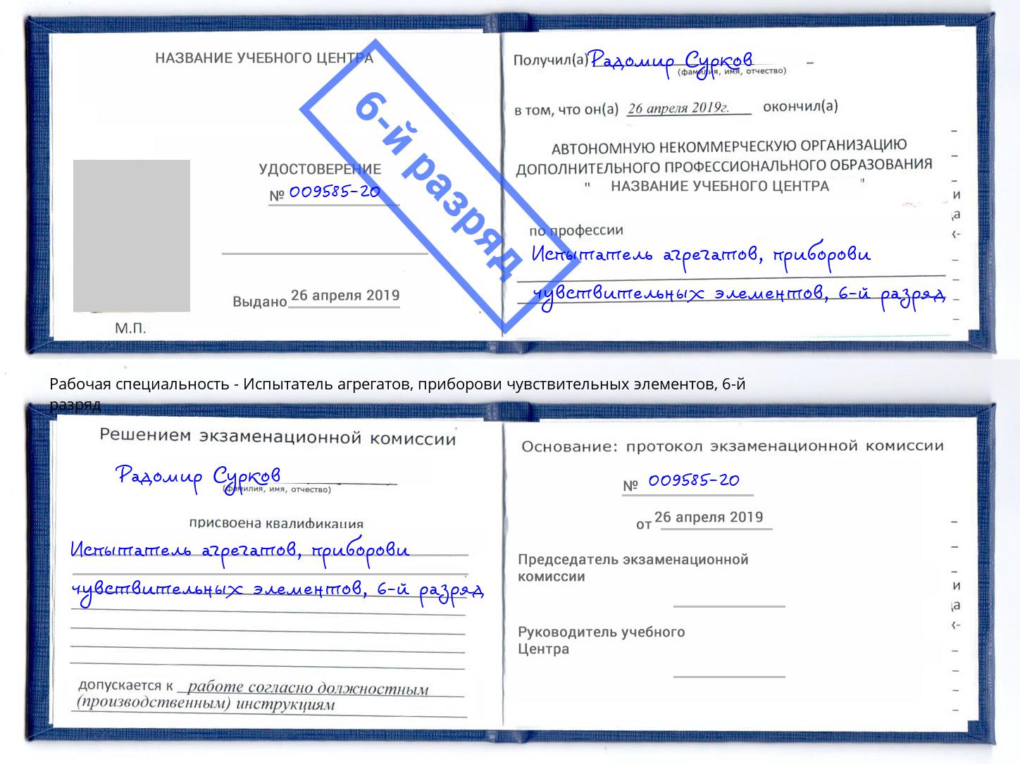 корочка 6-й разряд Испытатель агрегатов, приборови чувствительных элементов Великий Новгород