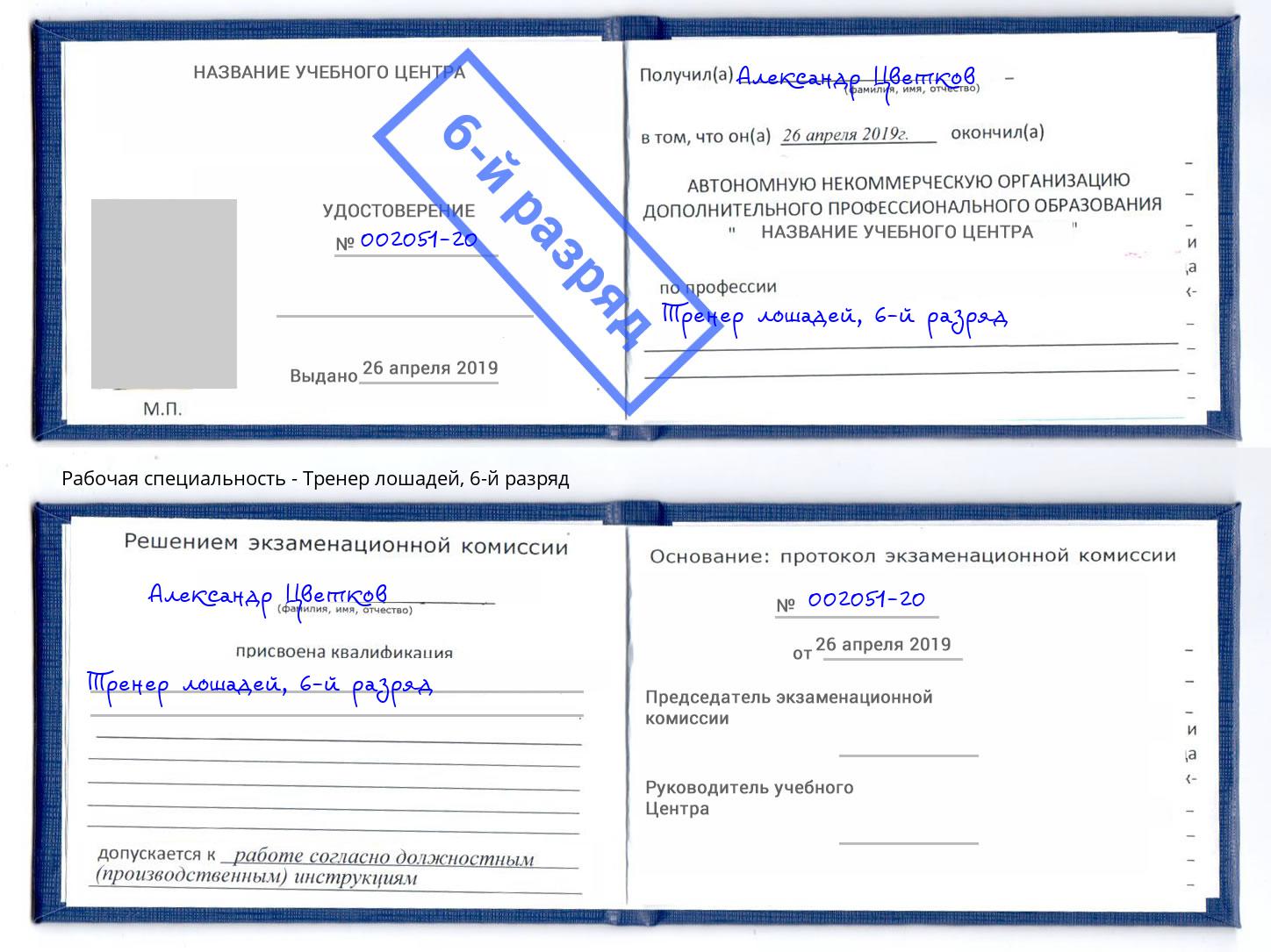 корочка 6-й разряд Тренер лошадей Великий Новгород