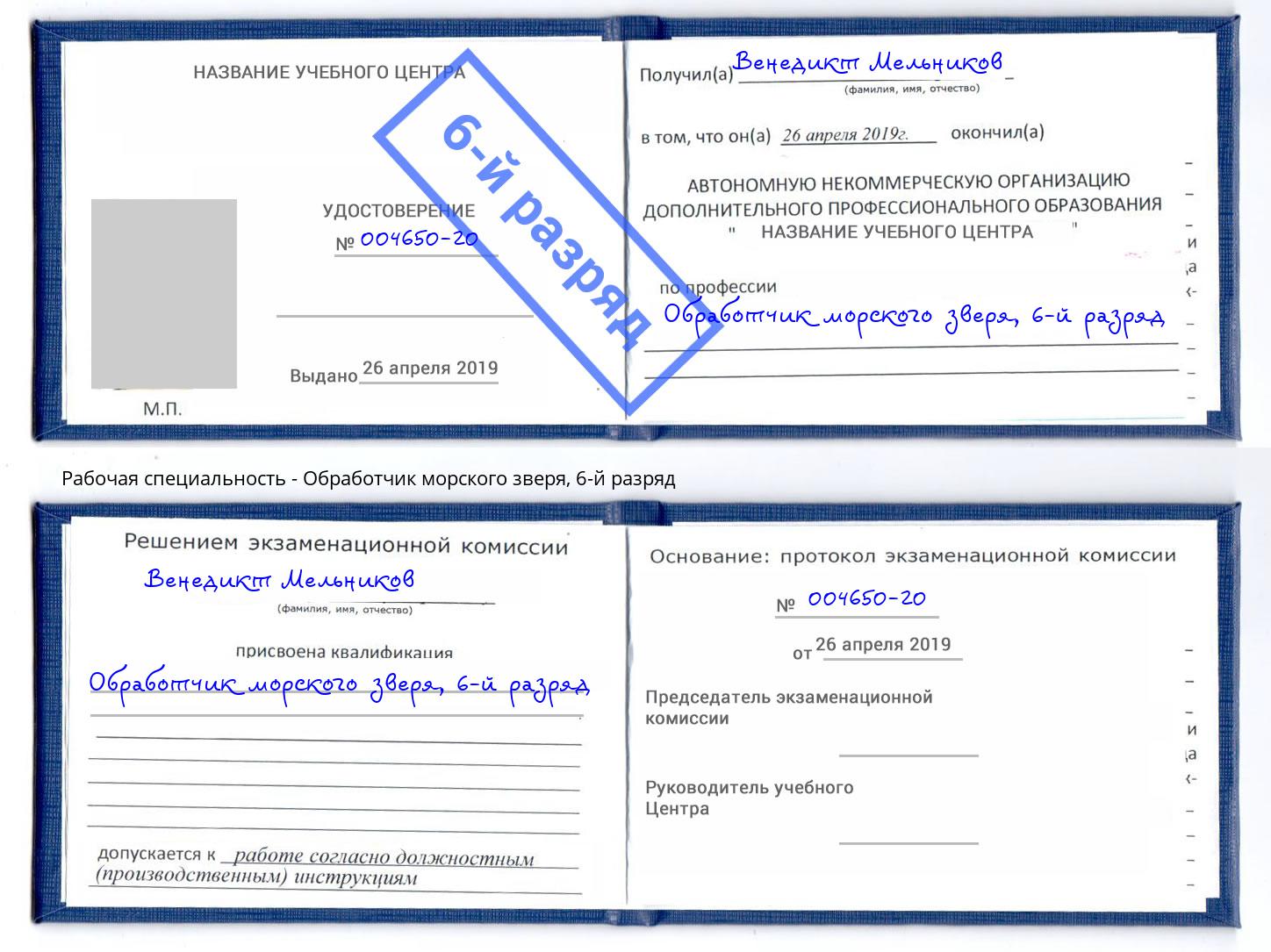 корочка 6-й разряд Обработчик морского зверя Великий Новгород