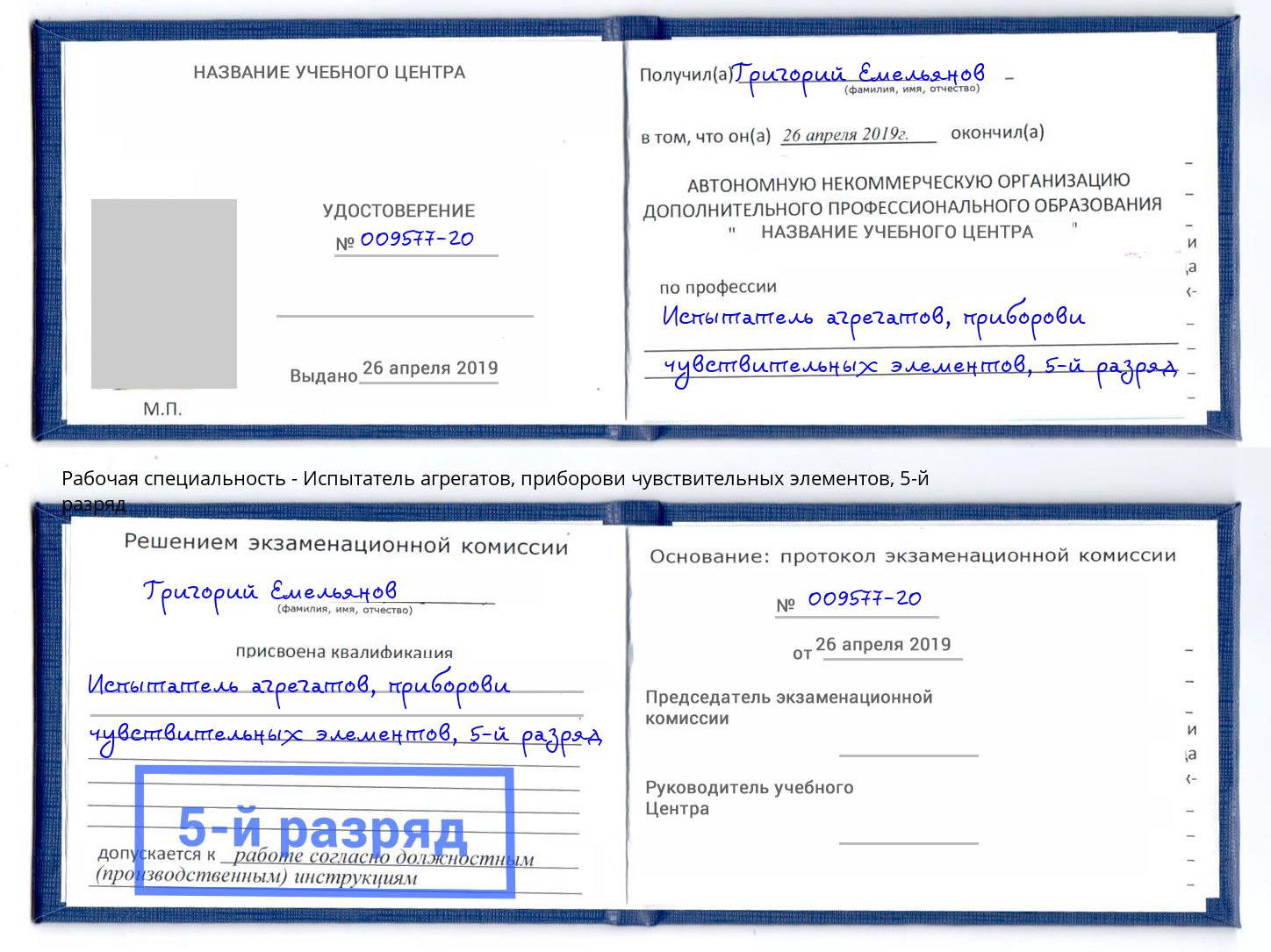 корочка 5-й разряд Испытатель агрегатов, приборови чувствительных элементов Великий Новгород