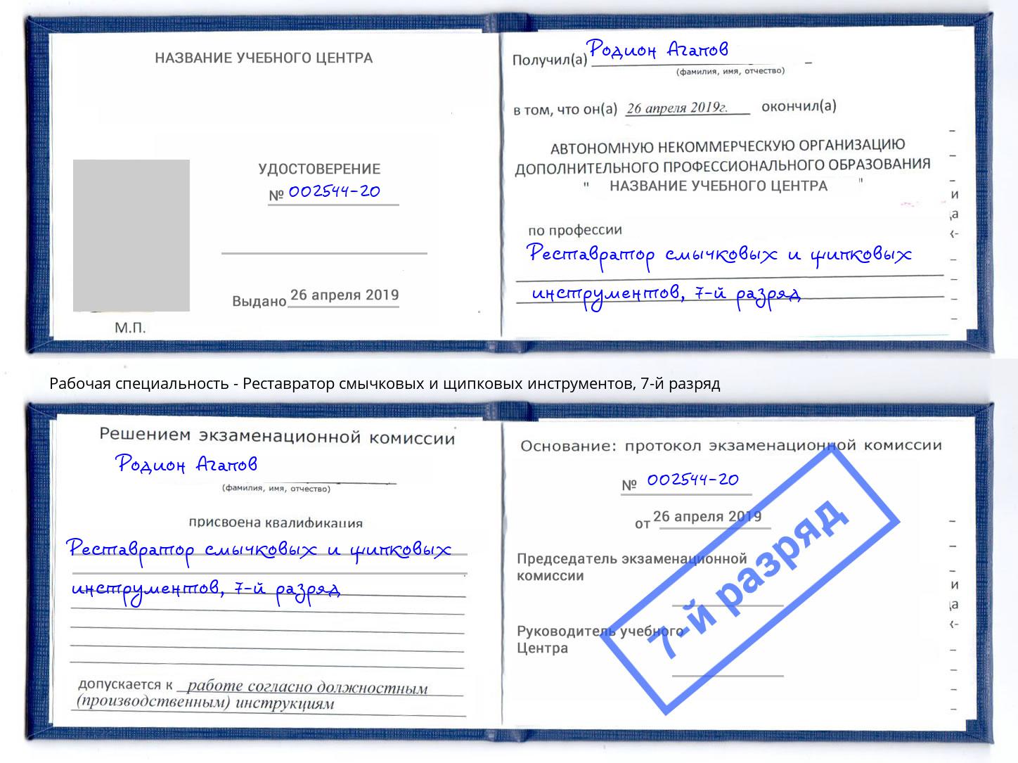 корочка 7-й разряд Реставратор смычковых и щипковых инструментов Великий Новгород