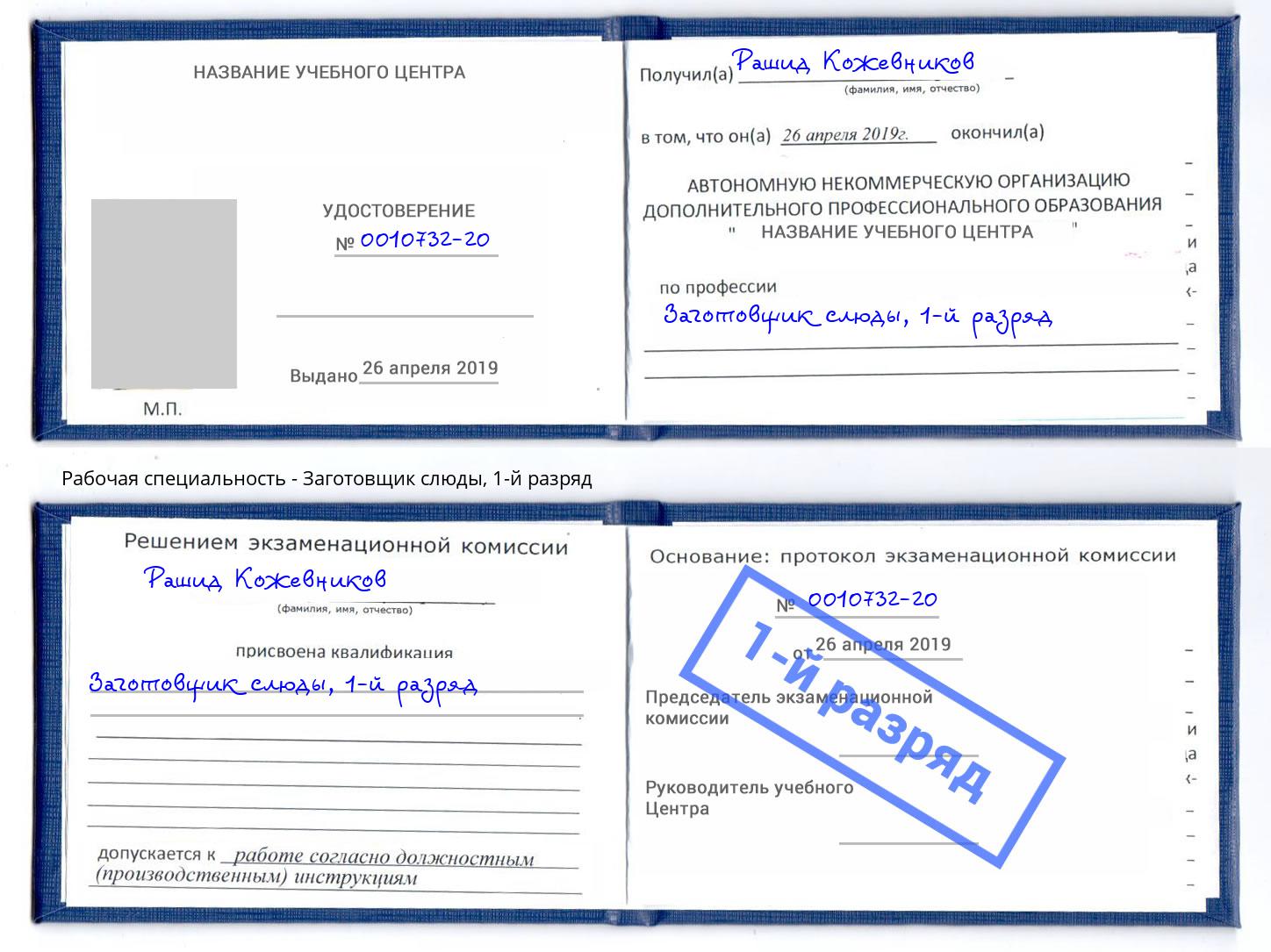 корочка 1-й разряд Заготовщик слюды Великий Новгород