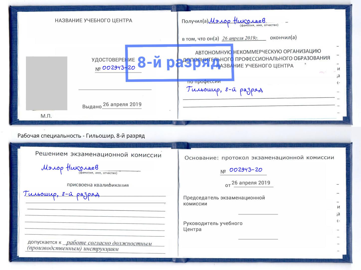 корочка 8-й разряд Гильошир Великий Новгород