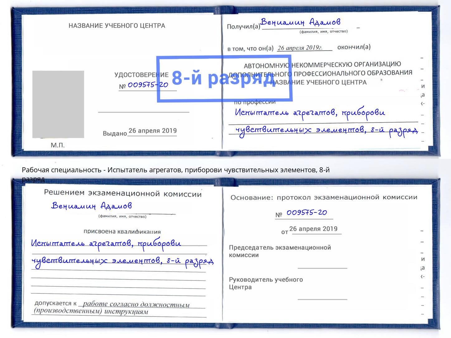 корочка 8-й разряд Испытатель агрегатов, приборови чувствительных элементов Великий Новгород